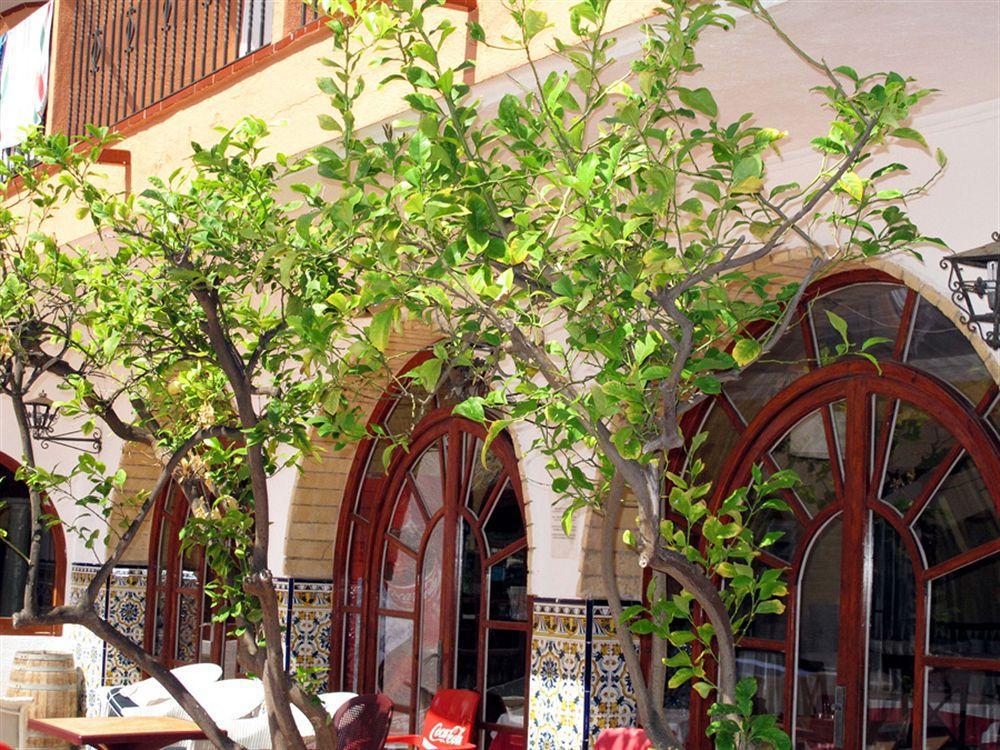Hotel Comarruga Platja エクステリア 写真